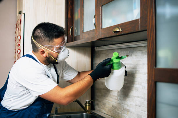 Best Pest Inspection Near Me  in St Matthews, KY