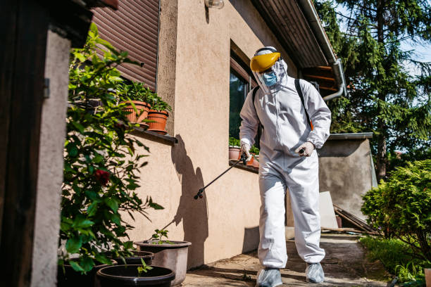 Best Affordable Pest Control Services  in St Matthews, KY